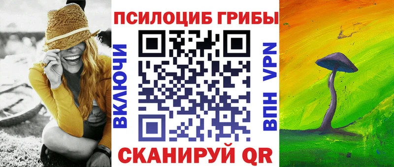 Псилоцибиновые грибы прущие грибы  Петровск 