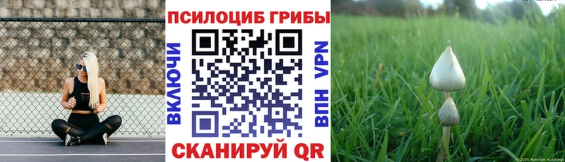 Псилоцибиновые грибы прущие грибы Петровск